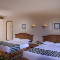 82479_room02-a