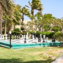 82652_c0170.mp4_snapshot_00.00_2017.11.29_14.59.00