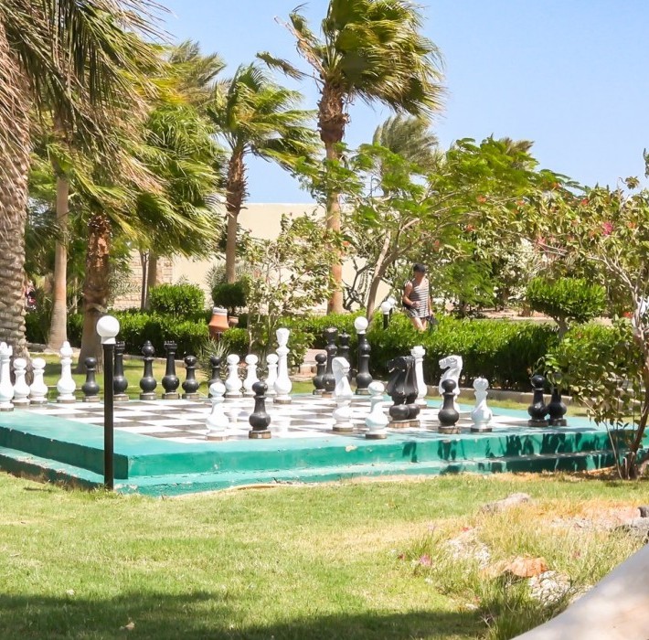 82652_c0170.mp4_snapshot_00.00_2017.11.29_14.59.00