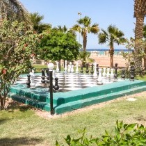 82653_c0173.mp4_snapshot_00.00_2017.11.29_14.59.08