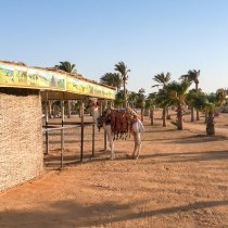 82655_c0719.mp4_snapshot_00.00_2017.11.29_13.58.40