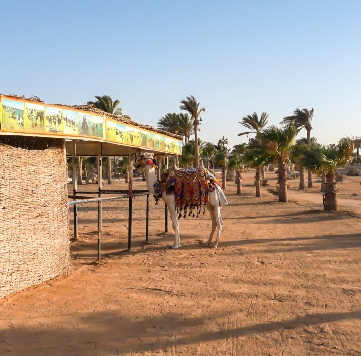 82655_c0719.mp4_snapshot_00.00_2017.11.29_13.58.40