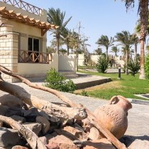 82663_c0025.mp4_snapshot_00.00_2017.11.29_14.51.55