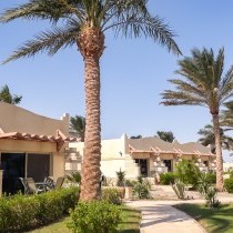 82665_c0031.mp4_snapshot_00.00_2017.11.29_14.52.12