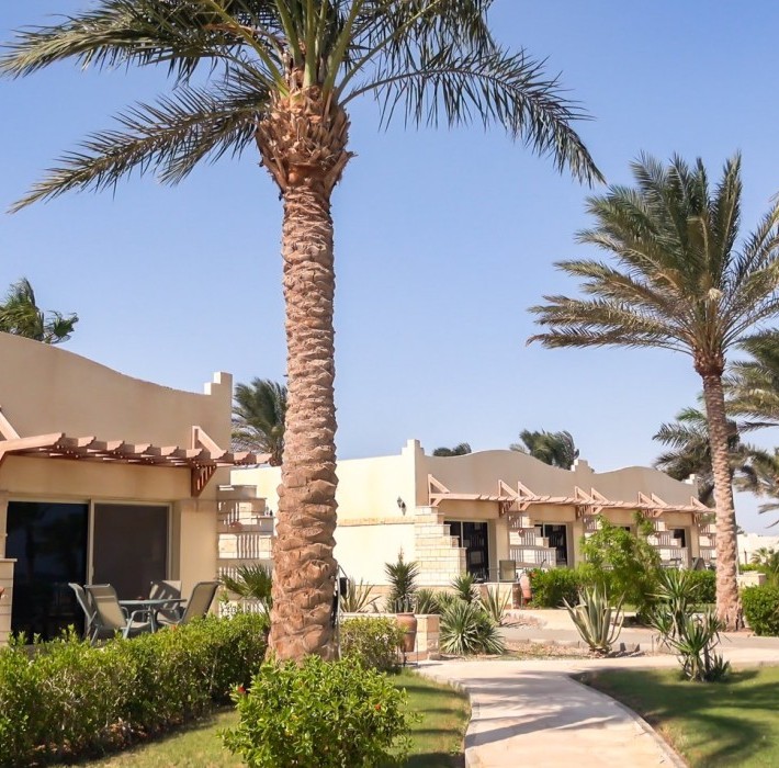 82665_c0031.mp4_snapshot_00.00_2017.11.29_14.52.12