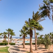 82666_c0032.mp4_snapshot_00.00_2017.11.29_14.52.15