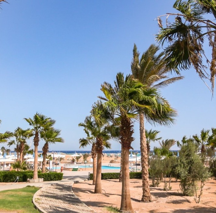 82666_c0032.mp4_snapshot_00.00_2017.11.29_14.52.15