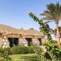 82667_c0033.mp4_snapshot_00.00_2017.11.29_14.52.17