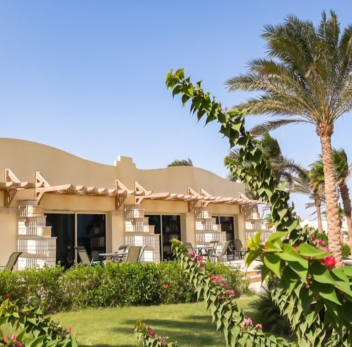 82667_c0033.mp4_snapshot_00.00_2017.11.29_14.52.17