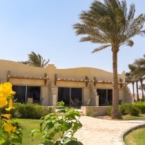 82669_c0164.mp4_snapshot_00.00_2017.11.29_14.58.41