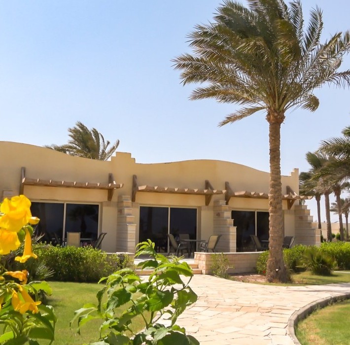 82669_c0164.mp4_snapshot_00.00_2017.11.29_14.58.41