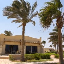 82670_c0165.mp4_snapshot_00.00_2017.11.29_14.58.44