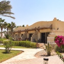 82671_c0166.mp4_snapshot_00.00_2017.11.29_14.58.47