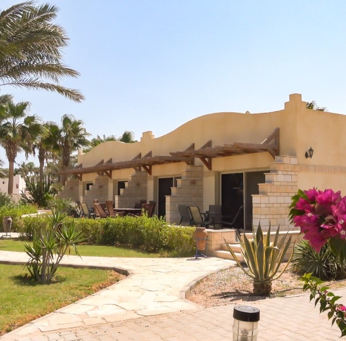 82671_c0166.mp4_snapshot_00.00_2017.11.29_14.58.47