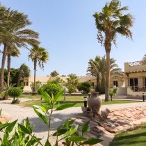 82673_c0174.mp4_snapshot_00.00_2017.11.29_14.59.11