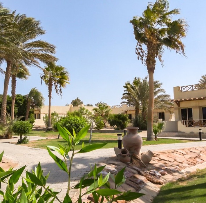 82673_c0174.mp4_snapshot_00.00_2017.11.29_14.59.11