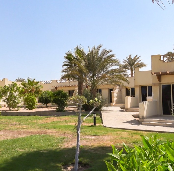 82674_c0176.mp4_snapshot_00.00_2017.11.29_14.59.16