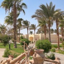 82675_c0191.mp4_snapshot_00.00_2017.11.29_15.00.05