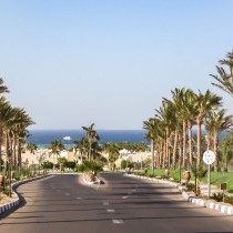 82676_c0604.mp4_snapshot_00.00_2017.11.29_13.53.06