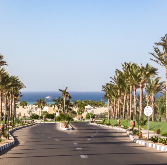 82676_c0604.mp4_snapshot_00.00_2017.11.29_13.53.06