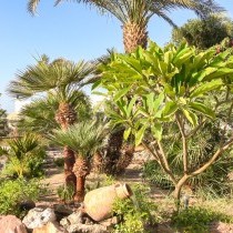 82678_c0644.mp4_snapshot_00.00_2017.11.29_13.54.58