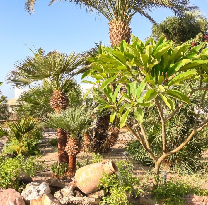 82678_c0644.mp4_snapshot_00.00_2017.11.29_13.54.58