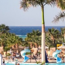 82679_c0647.mp4_snapshot_00.00_2017.11.29_13.55.06