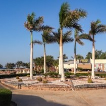 82680_c0659.mp4_snapshot_00.00_2017.11.29_13.55.41