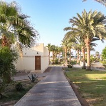 82681_c0674.mp4_snapshot_00.00_2017.11.29_13.56.25