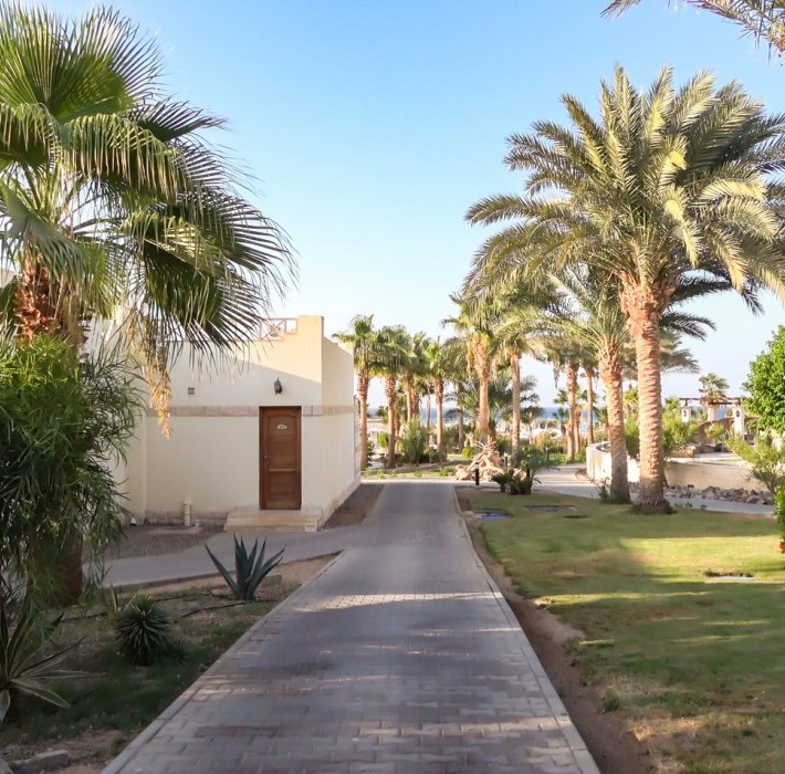 82681_c0674.mp4_snapshot_00.00_2017.11.29_13.56.25