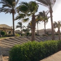 82682_c0707.mp4_snapshot_00.00_2017.11.29_13.58.03