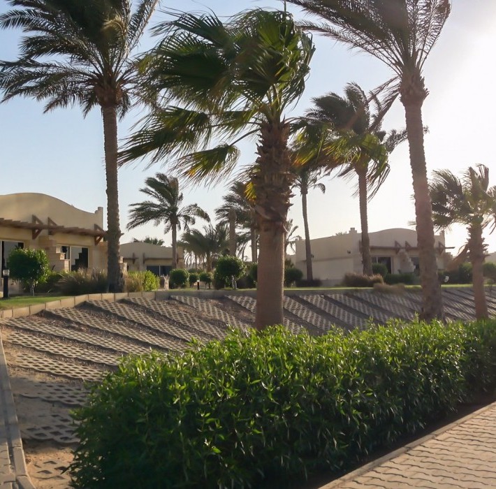 82682_c0707.mp4_snapshot_00.00_2017.11.29_13.58.03