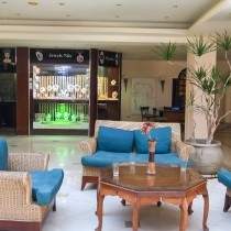 82684_c0216.mp4_snapshot_00.00_2017.11.29_15.01.13