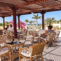 82686_c0220.mp4_snapshot_00.00_2017.11.29_15.01.23