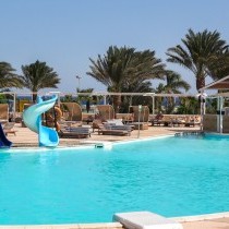 82694_c0023.mp4_snapshot_00.00_2017.11.29_14.51.50