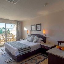 84861_standardroom-king-gv04